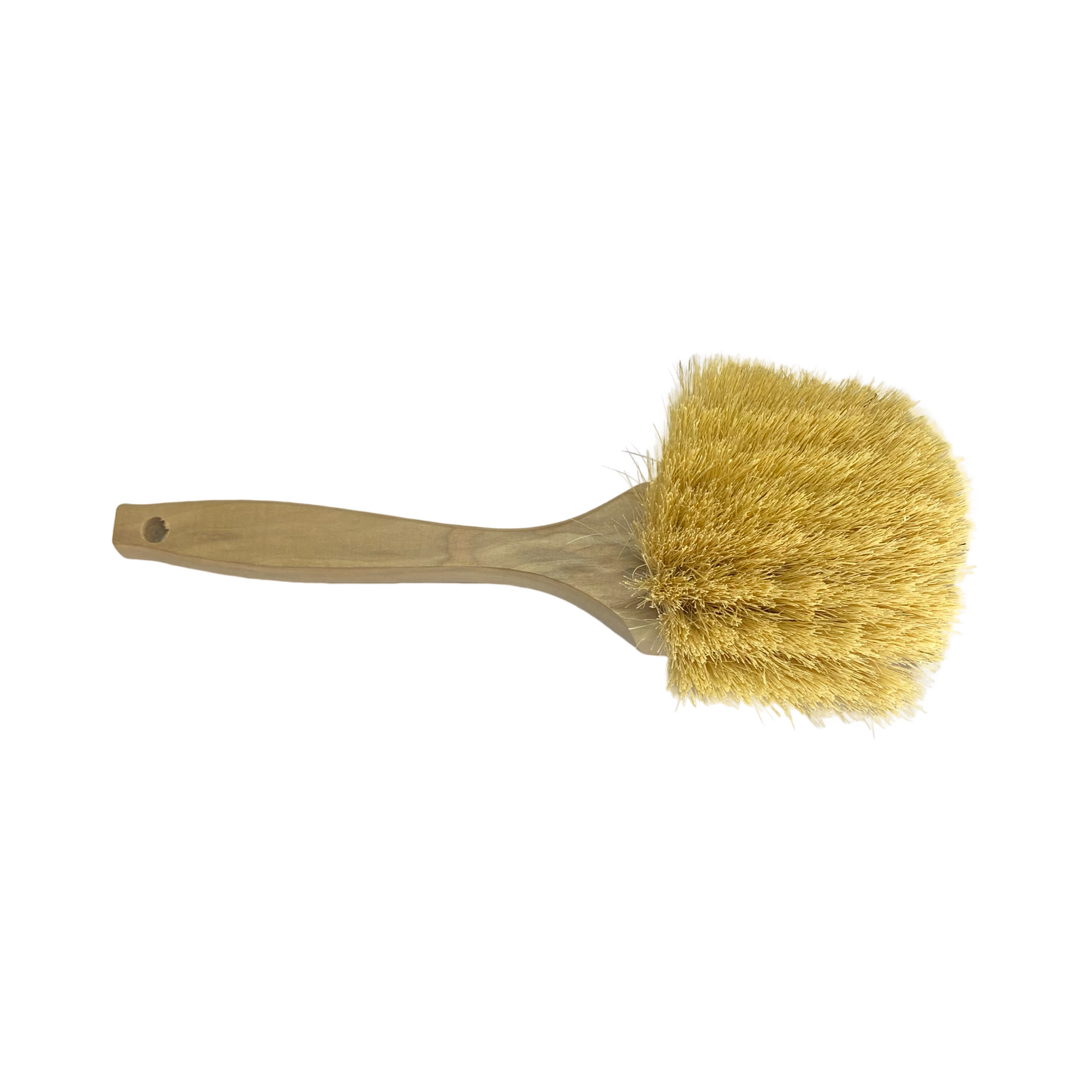 12 Tampico Scrub Brush